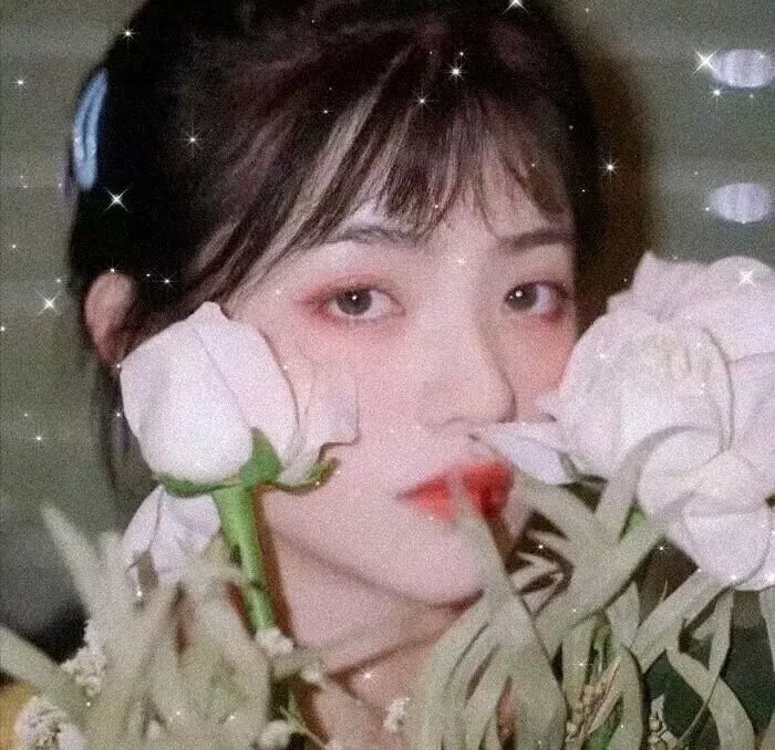 校友春心